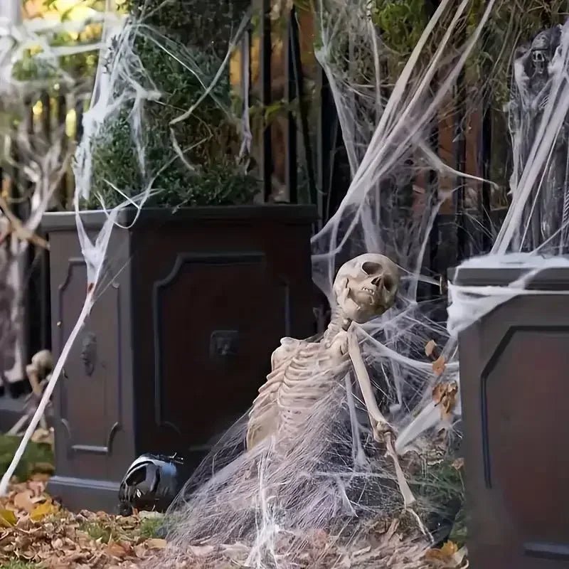 RR™Haunted House Spider Web - Radiant Revive