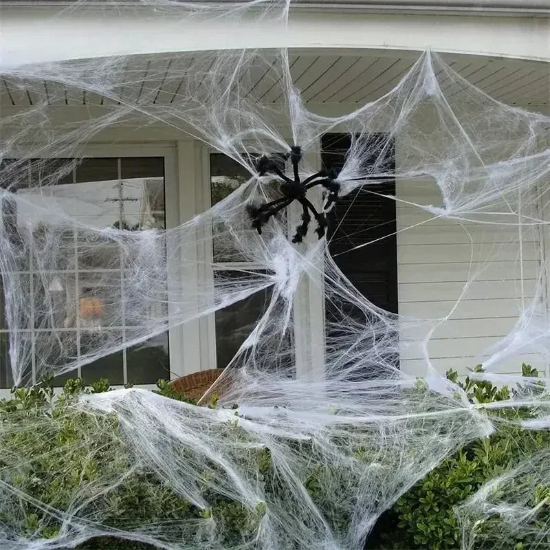 RR™Haunted House Spider Web - Radiant Revive