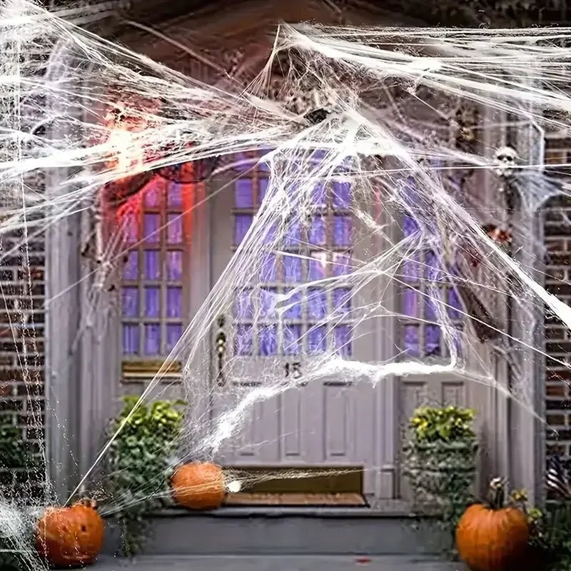 RR™Haunted House Spider Web - Radiant Revive