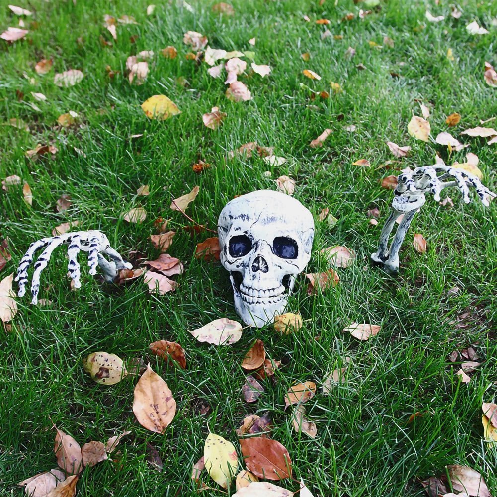 RR Buried Skeleton - Radiant Revive