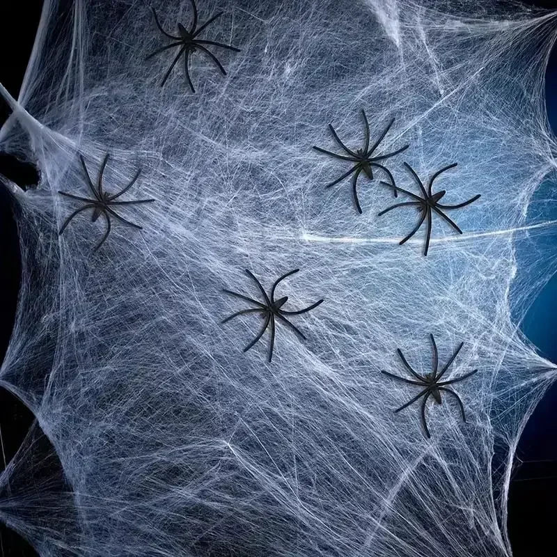 RR™Haunted House Spider Web - Radiant Revive