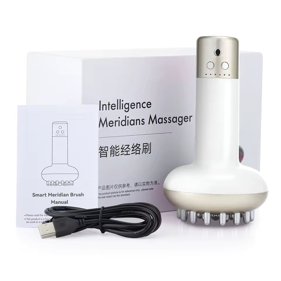 Intelligence Meridians Massager with USB cable