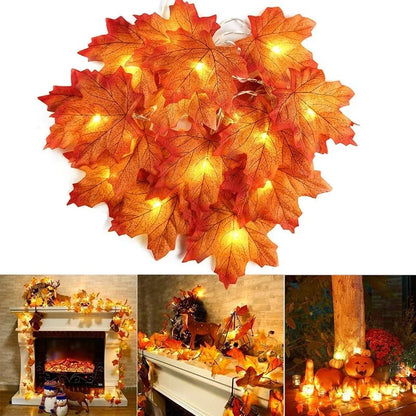 RR™ Autumn Glow Lights - Radiant Revive